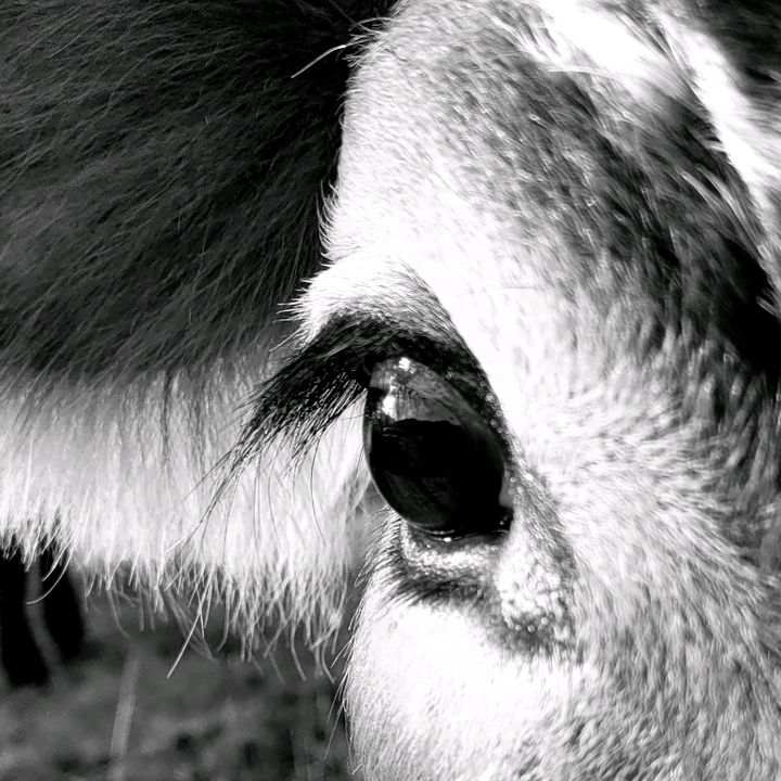 Profile Picture of Norah (@briannestromberg) on Tiktok