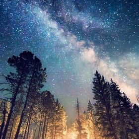 Profile Picture of Rousson (@davidrousson07) on Pinterest