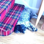 Profile Picture of Elizabeth Cordy (@elizabeth.cordy.1) on Facebook