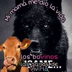 Profile Picture of Octaviano Rodriguez (@octavianorodrigu1) on Tiktok