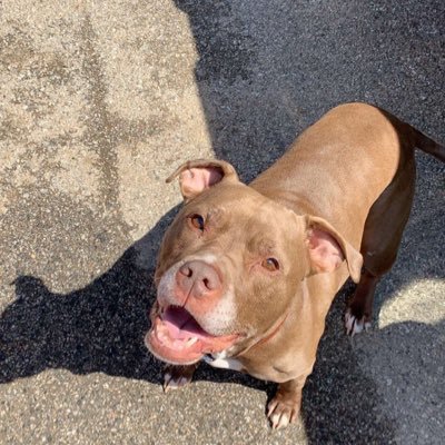 Profile Picture of Joe Leager (@joe_leager) on Twitter