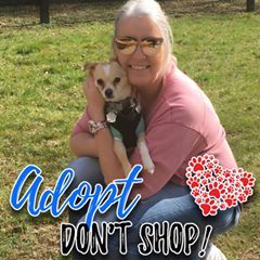 Profile Picture of Deborah Corey (@deborahcorey) on Tiktok