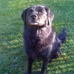 Profile Picture of Ismael Boites (@ismael.boites.2025) on Facebook