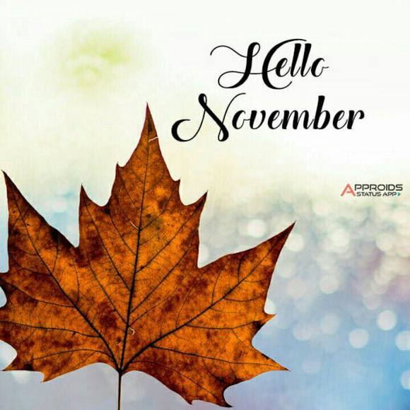 Profile Picture of Christine Musitano (@c_musitano) on Poshmark