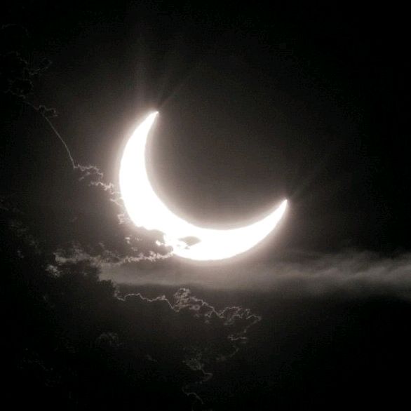 Profile Picture of kf_moonlight. (@kf_moonlight6) on Tiktok