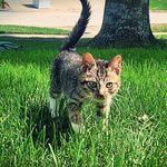 Profile Picture of Jerret Martin (@jerretmartin) on Instagram