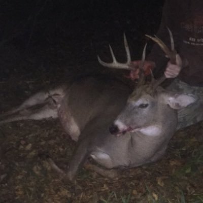 John Besh - Twitter Profile Picture of John Besh (@besh_john) on Twitter