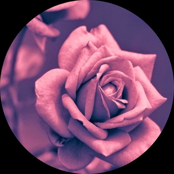 Profile Picture of Ma angeles Campos (@macampos167) on Poshmark