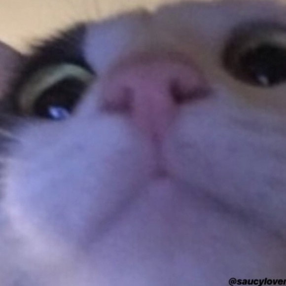 Profile Picture of Rejacked Nexus (@rejackednexus) on Poshmark