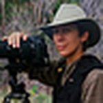 Profile Picture of © Tail Feather Photos | Www.tailfeatherphotos.com (@© tail feather photos | www.tailfeatherphotos.com) on Flickr