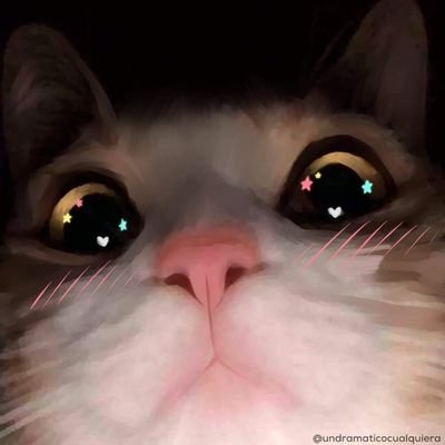 Profile Picture of Khamsouk XAYYAVONG (@KhamsoukXAYYAV1) on Twitter