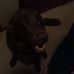 Profile Picture of Java Johnson (@java.johnson.946) on Facebook