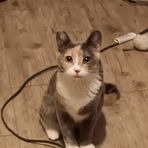 Profile Picture of Kenny Maynard (@Kenny-Maynard) on Facebook