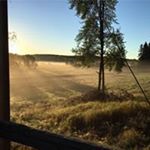 Profile Picture of Thomas Wiberg (@karl.thomas.wiberg) on Instagram