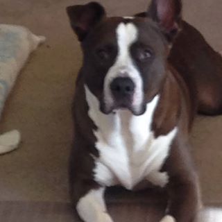 Profile Picture of Richard Mendivil (@richard.mendivil.7) on Facebook