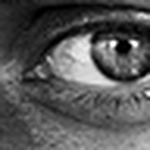 Profile Picture of David (@(d.m.c)) on Flickr