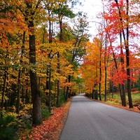 Profile Picture of Anupama Ghosh (@anupama-ghosh-10) on Quora