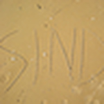 Profile Picture of Sindhu A P (@sindhu_ap) on Flickr