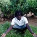Profile Picture of Mike Katana (@mike.katana.77) on Facebook