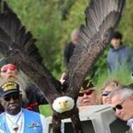 Profile Picture of Richard Standish (@richardstandish) on Instagram