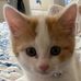 Profile Picture of Sandra Campbell Caulfield (Sandra caulfield was campbell) (@sandra.caulfield) on Facebook