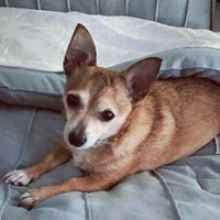 Profile Picture of Michelle Jorden (@michelle-jorden-3) on Quora