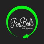 Profile Picture of Michael Penner (@penballs_ballpythons) on Instagram