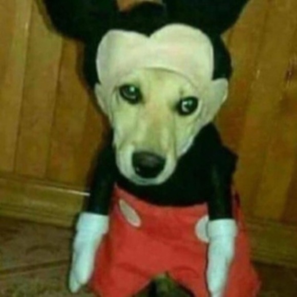 Profile Picture of Nicholas Arroyo (@narroyo0013) on Poshmark