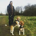 Profile Picture of Roger stubbs (@hounddogdaycare) on Instagram