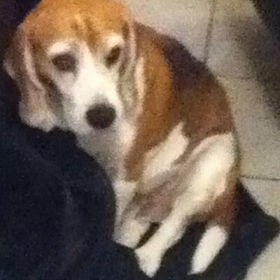 Profile Picture of Marc Hellmich (@HellmichMarc) on Twitter