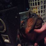 Profile Picture of Eddie Crash Iwm (@crashiwm) on Instagram