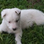 Profile Picture of Christopher Celestino (@christopher.celestino.37) on Instagram