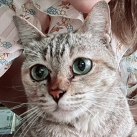 Profile Picture of Nichy Han  (@nichy-han-1) on Quora