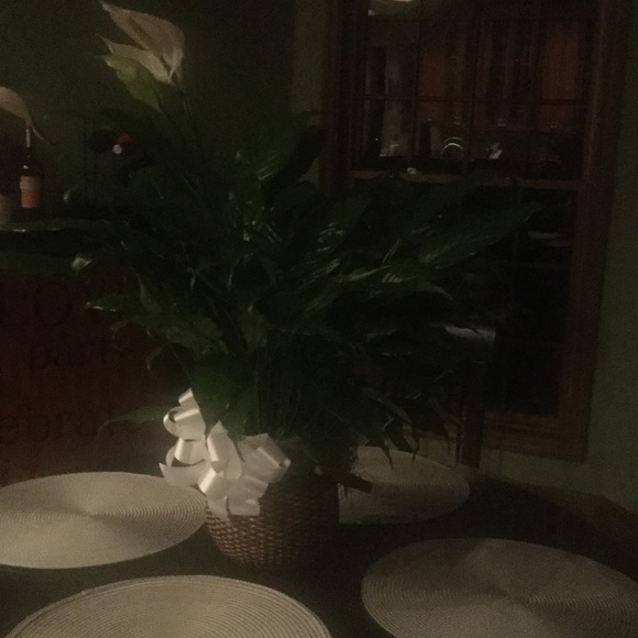 Pam Broaders - Poshmark Profile Picture of Pam Broaders (@broaderstp) on Poshmark