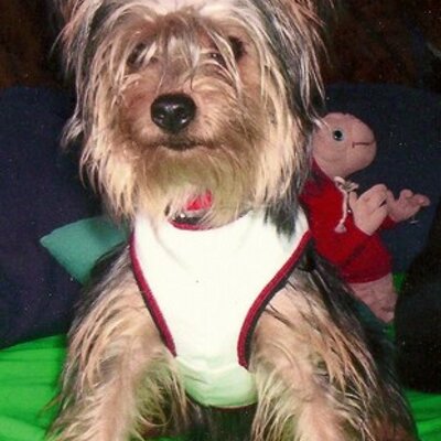 Profile Picture of Lily Aviles (@@Lilita949) on Twitter