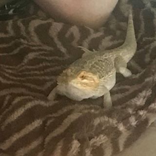 Profile Picture of Jeff Unack (@jeff.unack) on Facebook