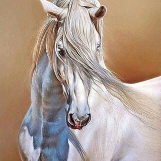 Profile Picture of Diana Mansour (@diana.mansour.790) on Facebook