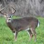 Profile Picture of Kenny Browning (@krbjr31) on Instagram