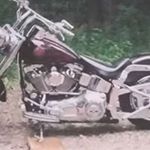 Profile Picture of Michael Trafton (@traftonmichael) on Instagram