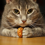 Profile Picture of Kim's Pics :) (@Kim's Pics :)) on Flickr