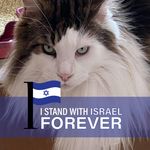 RoseAnna Bonadio - Instagram Profile Picture of RoseAnna Bonadio (@rosanna52451) on Instagram