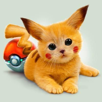 Profile Picture of Jamie Scherer (@jamiescherer2) on Twitter