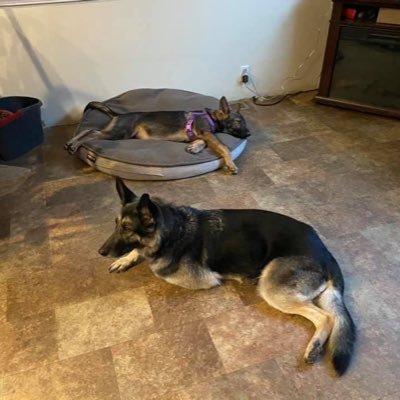 Profile Picture of John Jordan (@@lemieuxcrosby) on Twitter