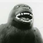 Profile Picture of David (@baslord) on Instagram