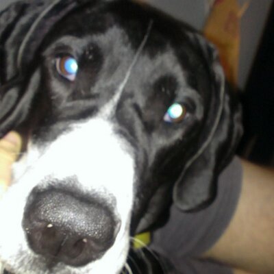 Profile Picture of James Zientek (@james_zientek) on Twitter