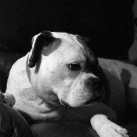 Profile Picture of Scott Baker007 (@preacher007) on Poshmark