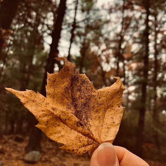 Profile Picture of Kaleah Kaleah (@kaliayaj) on Poshmark