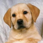 Profile Picture of Bills Taylor (@Bills-Taylor) on Facebook