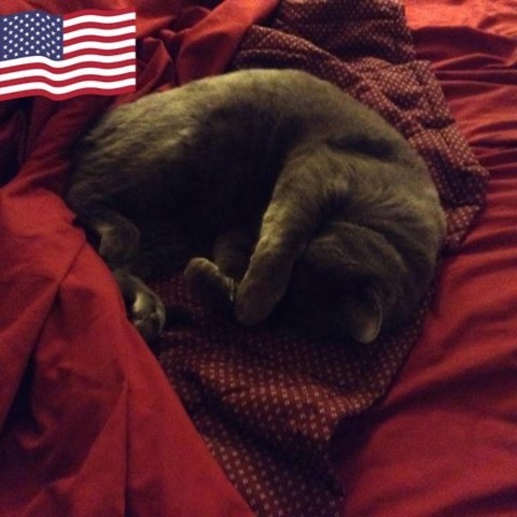 Profile Picture of Terry Goularte (@pigme9) on Poshmark