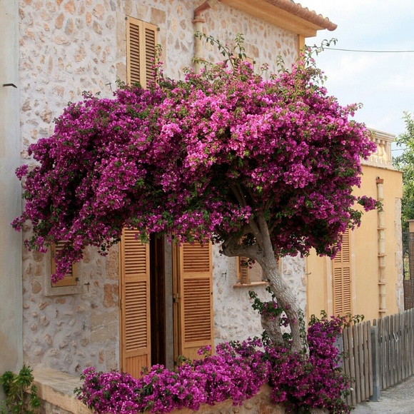 Monique Dotson - Poshmark Profile Picture of Monique Dotson (@meeeeio) on Poshmark